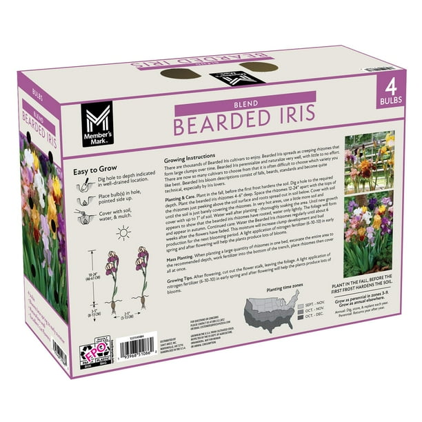 Member's Mark Bearded Iris Mixed Dormant Bulbs, 4pk - Samsclub.com