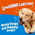 thumbnail image 3 of Purina Busy With Peanut Butter Small/Medium Breed Dog Treats, 18 ct., 3 of 10