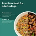 thumbnail image 11 of Jinx Homeamdes Variety Pack, Wet Dog Food Pack , 9 oz., 12 ct., 11 of 12