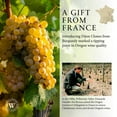 thumbnail image 3 of Willamette Valley Vineyards Dijon Clone Chardonnay Wine, 750 ml, 3 of 3