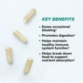 thumbnail image 5 of ONNIT Total Gut Health Supplement for Digestive Health, 84 ct., 5 of 11