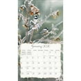 thumbnail image 2 of Songbirds 2026 Wall Calendar, 2 of 7