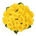 thumbnail image 1 of Member's Mark Premium Roses, 18 stems, choose color, 1 of 4