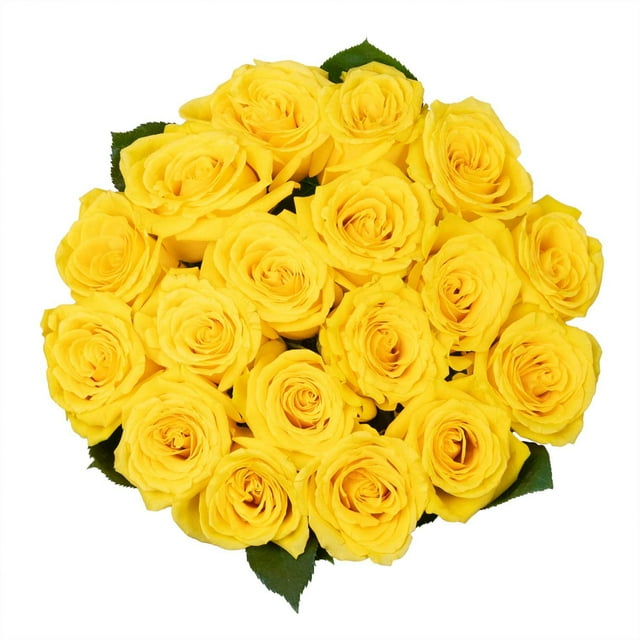 Member's Mark Premium Roses, 18 stems, choose color