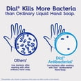 thumbnail image 8 of Dial Foaming Hand Wash, Spring Water & Power Berries, 10 oz., 4 pk., 8 of 11
