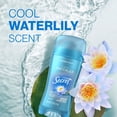 thumbnail image 7 of Secret Fresh Invisible Solid Antiperspirant Deodorant, Variety Pack, 2.6 oz., 4 pk., 7 of 10