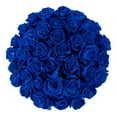 thumbnail image 1 of Member's Mark Farm Fresh Velvet Roses, choose color and stem count, 1 of 6