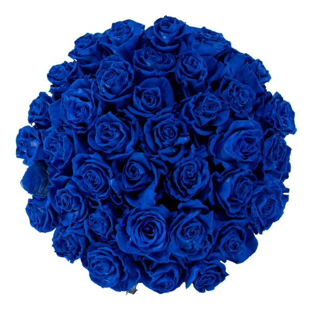 Member's Mark Farm Fresh Velvet Roses, choose color and stem count