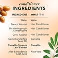 thumbnail image 7 of Herbal Essences Pure Plants Argan Oil & Green Tea Shampoo + Conditioner, 33.8 fl. Oz., 2 pk., 7 of 9