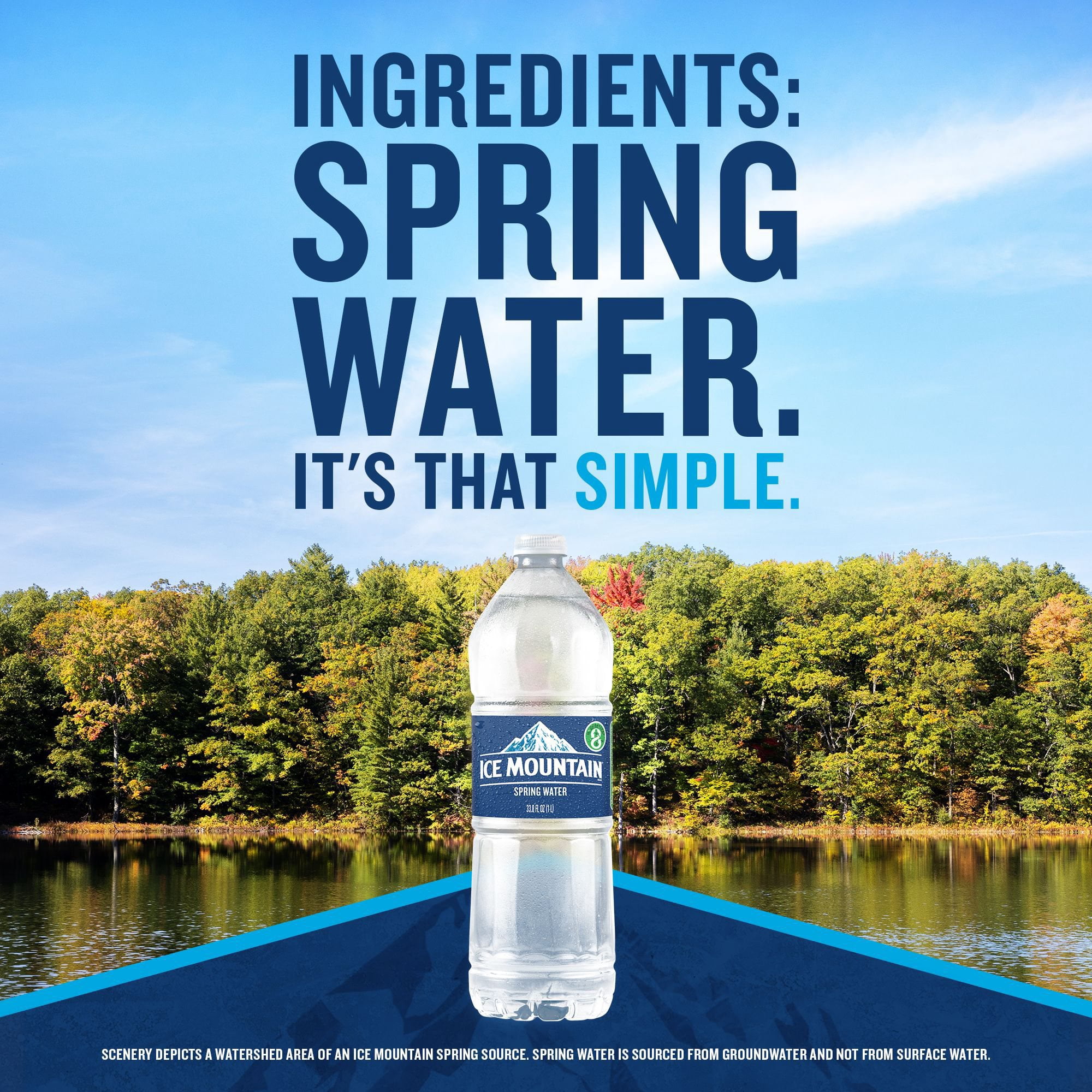 Ice Mountain 100% Natural Spring Water 1 L, 15 pk. - Samsclub.com