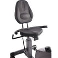 thumbnail image 5 of Stamina Elite Total Body Recumbent Bike, 5 of 6