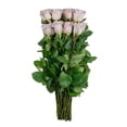 thumbnail image 6 of Member's Mark Ecuadorian Premium Roses, choose color variety and stem count, 6 of 6