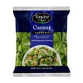 thumbnail image 1 of Taylor Farms Caesar Salad Kit, 16.9 oz., 1 of 6