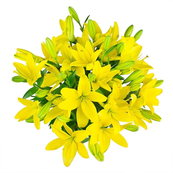 Member's Mark LA Hybrid Lilies, choose color and stem count