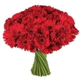 thumbnail image 2 of Member's Mark Gerbera Daisies, choose color and stem count, 2 of 8