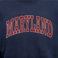 thumbnail image 6 of State of Mine Varsity Arch State Fleece Sweatshirt, 6 of 7