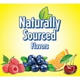 thumbnail image 8 of L'il Critters Gummy Vites Gummy Bears 300 ct., 8 of 9