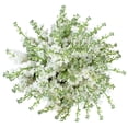 thumbnail interactive-video image 1 of Member's Mark Stock, 100 stems, choose color, 1 of 7