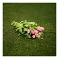 thumbnail image 3 of Member's Mark Tulips, 50 stems, 3 of 3