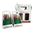 thumbnail image 2 of Holiday Waxed Amaryllis Bulbs, 2pk, 2 of 6