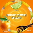 thumbnail image 5 of Air Wick Plug In Scented Oil Air Freshener Refills, Bright Citrus, 9 refills, 5 of 11