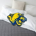 thumbnail image 2 of Logo Brands Lawson State Cougars XL Puff Pillow, 2 of 5