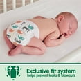 thumbnail image 6 of Member's Mark Premium Baby Diapers, Sizes Newborn - 7, 6 of 10