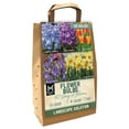 thumbnail image 1 of Member's Mark 60 Days of Blooms Chionodoxa, Crocus, Daffodil, Tulip, and Dutch Iris Dormant Bulbs, 65pk, 1 of 15