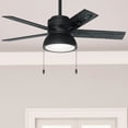 thumbnail image 3 of Hunter 44" Lilliput Ceiling Fan with Light Kit and Pull Chain, 3 of 14