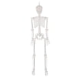 thumbnail image 3 of Member's Mark 5' Pre-Lit Color Changing Poseable Skeleton, 3 of 4