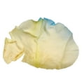 thumbnail image 7 of Member's Mark Illusion Roses, 96 stems, Choose color variety, 7 of 7