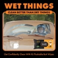 thumbnail image 5 of DUDE Wipes XL Flushable Wipes, Dumpkin Spice, 8 ct., 384 wipes, 5 of 8
