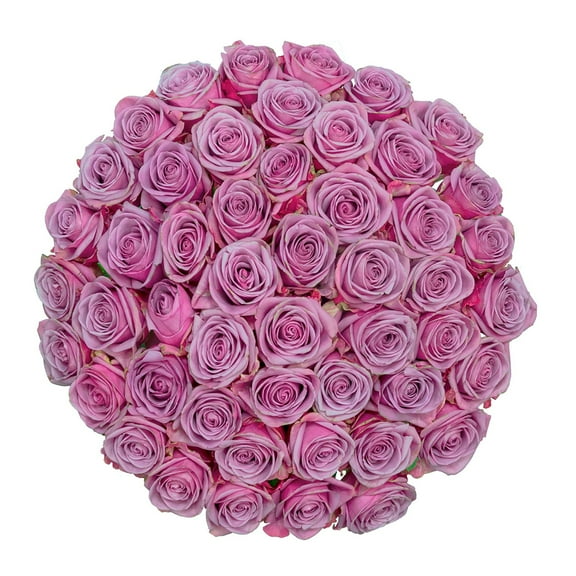Member's Mark Ecuadorian Premium Roses, choose color variety and stem count