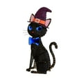 thumbnail image 6 of Member's Mark 5' Pre-Lit Black Cat, 6 of 8