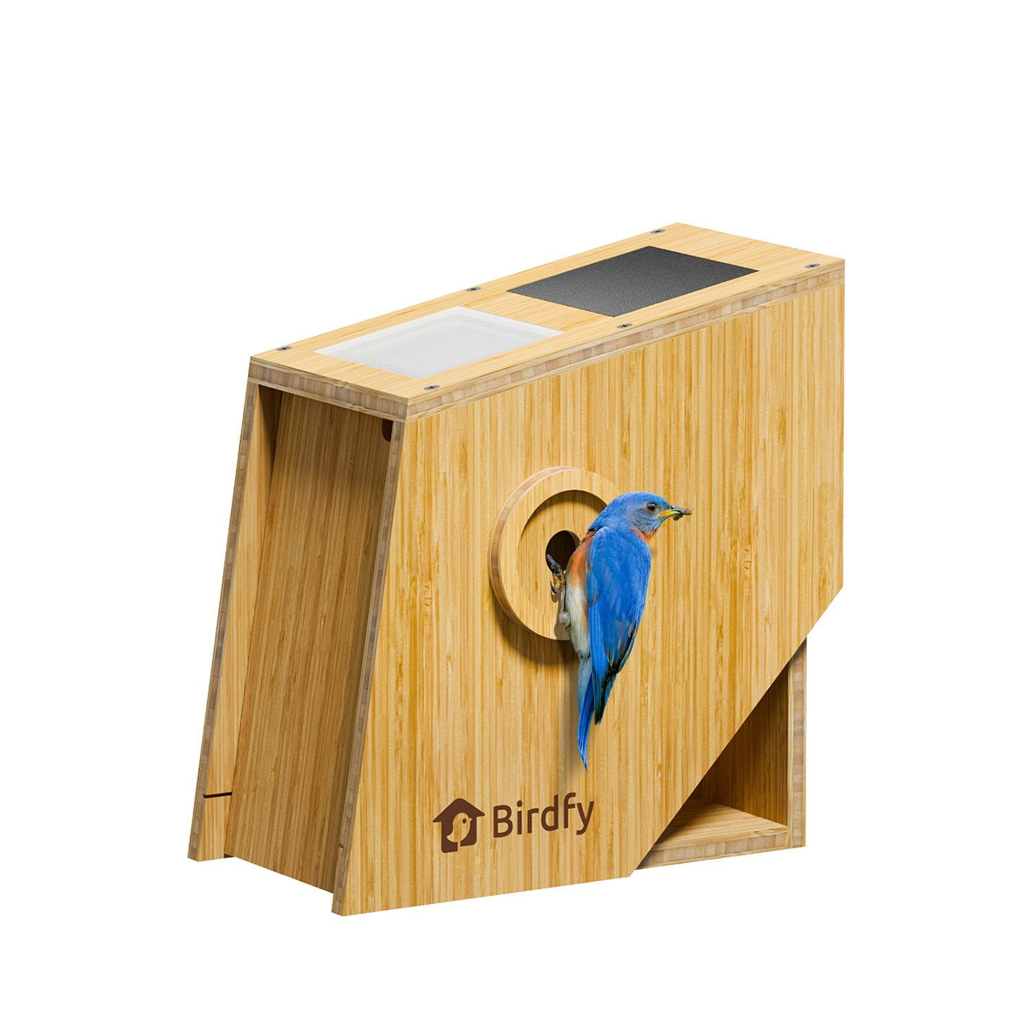 Birdfy Smart Bird House with Solar Powered AI Camera - Samsclub.com
