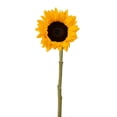 thumbnail image 2 of Member's Mark Sunflowers, choose quantity, 2 of 6
