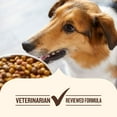 thumbnail image 7 of Rachael Ray Nutrish Real Beef, Pea & Brown Rice, Dry Dog Food, 50 lbs., 7 of 11