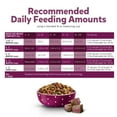 thumbnail image 8 of Purina Puppy Chow, Beef and Brown Rice, Tender & Crunchy Puppy Dry Dog Food, 34 lbs., 8 of 9