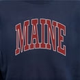 thumbnail image 6 of State of Mine Varsity Arch State Fleece Sweatshirt, 6 of 7