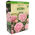 thumbnail image 1 of Member's Mark Peony - Sarah Bernhardt Bulbs, 1 of 2