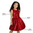 thumbnail image 4 of Rare Editions Girls Holiday Dress, 4 of 8