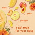 thumbnail image 10 of Febreze Car Air Freshener Vent Clips, Mixed Scent, 5 ct., 10 of 10
