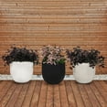 thumbnail image 1 of Member's Mark Grooved Planters - 2 Pack, 1 of 9