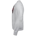 thumbnail image 2 of Champion NCAA South Carolina Gamecocks Crewneck Sweatshirt, 2 of 7