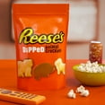 thumbnail image 6 of REESE'S Chocolate Peanut Butter Dipped, Animal Crackers, 24 oz., 6 of 8