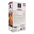 thumbnail image 2 of Member's Mark Lily Asiatic Blend Dormant Bulbs, 16pk, 2 of 9