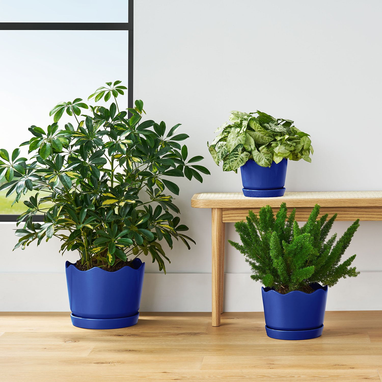 Member's Mark Ceramic Planters with Saucers, Set of 3 - Samsclub.com