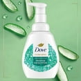 thumbnail image 4 of Dove Winter Variety Pack Liquid Hand Wash, 10.1 oz., 3 pk., 4 of 10