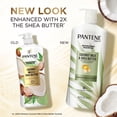 thumbnail image 8 of Pantene Pro-V Nourishing Coconut Milk & Shea Butter Shampoo, 38.2 fl. oz., 8 of 10