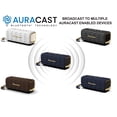 thumbnail image 7 of New! Pioneer Karved Series Portable Bluetooth Speaker, Sam's Club Exclusive, 7 of 8